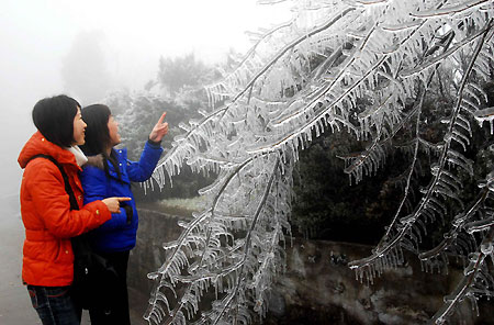 Cold front brings frost and icicles