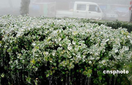 Cold front brings frost and icicles