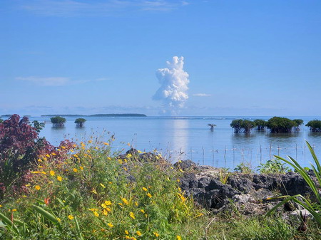 Undersea volcano erupts off Tonga coast