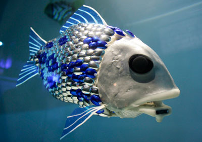 Robot fish detect pollution <BR>英用機(jī)器魚測水質(zhì)(圖)