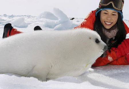 HK singer joins efforts to stop seal hunt