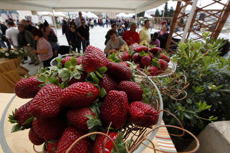 2009 Strawberry Festival