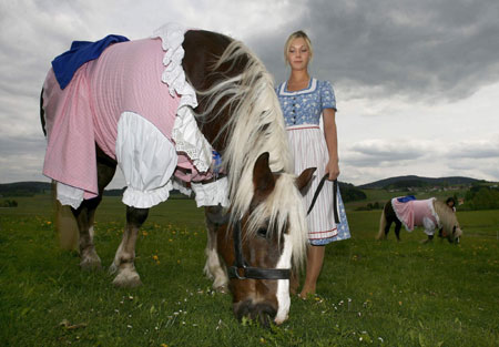 Horses dressed up by fashion designer