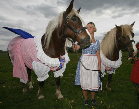 Horses dressed up by fashion designer