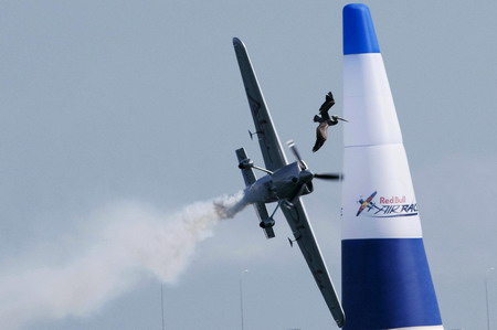 A plane hits a bird at air race in San Diego