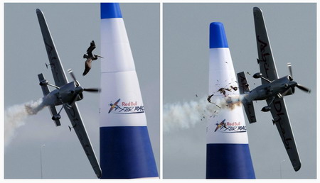 A plane hits a bird at air race in San Diego