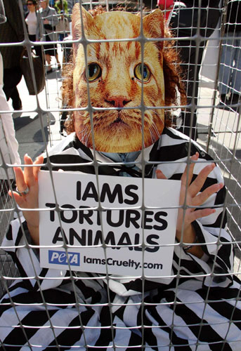 Demonstrate for animal rights in a creative way