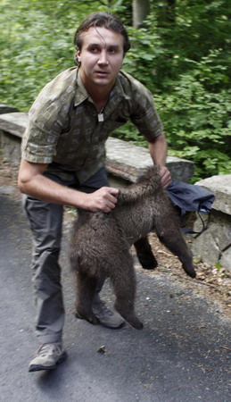 Bears roam in Romanian town