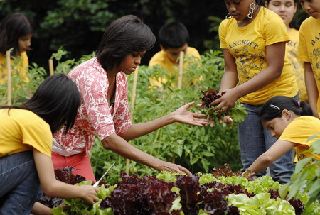 Vegetable harvest at White House