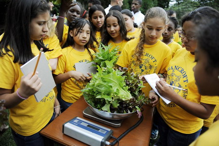 Vegetable harvest at White House