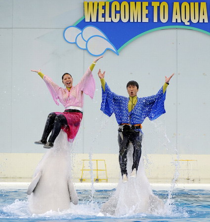 Dance with belugas