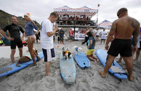 Surf Dog Surf-A-Thon