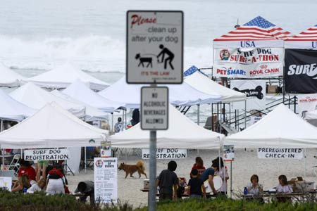 Surf Dog Surf-A-Thon