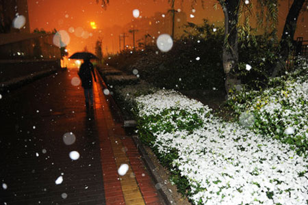 Beijing embraces first snowfall