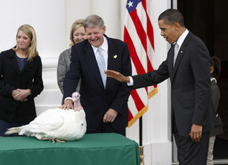 Obama's first pardon: A turkey named 'Courage'