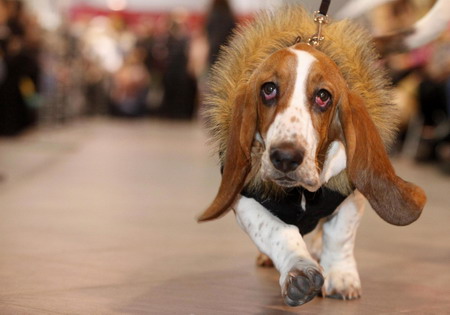 Dress up for the World Zoo Exhibition