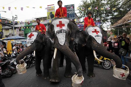 Thai elephants collect money for Haiti