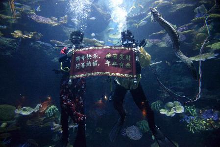 Greetings from Thai ocean world