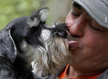 Dog show in Hungary