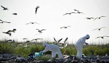 墨西哥灣漏油致海洋生物大逃亡