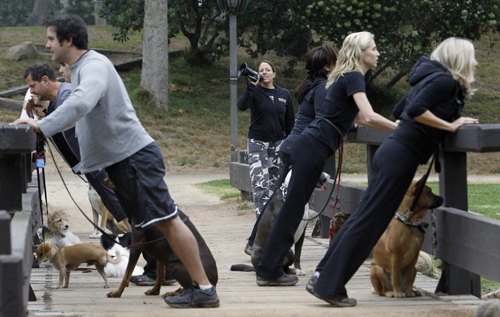 Owners work out with pets in fitness class