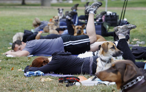 Owners work out with pets in fitness class