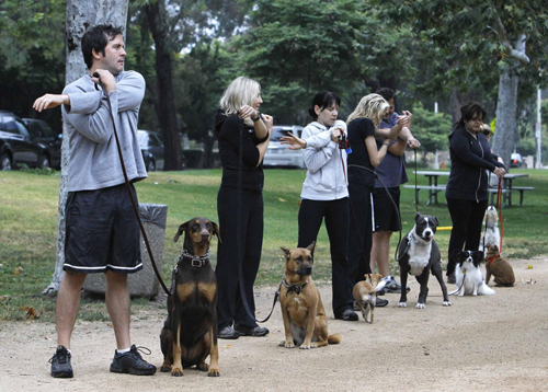 Owners work out with pets in fitness class