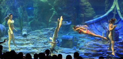 Russian swimmers perform underwater ballet in Wuhan