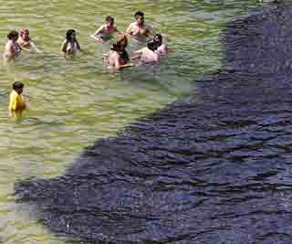 Swarms of fish form off coast <BR>墨西哥海灘現(xiàn)巨量魚群