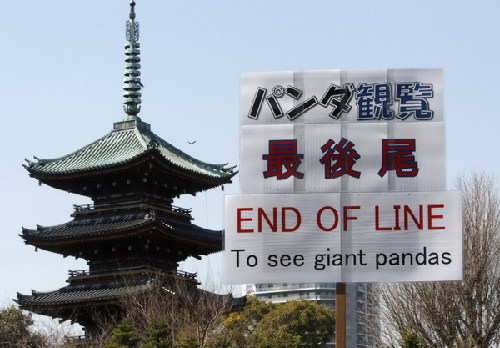 Pandas make first public show in Tokyo