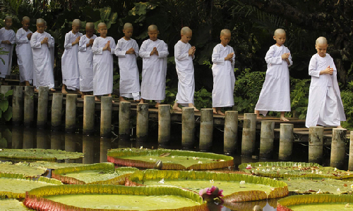 Novice Thai nuns