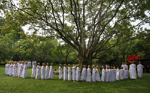 Novice Thai nuns