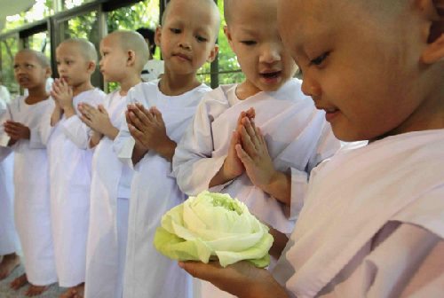 Novice Thai nuns