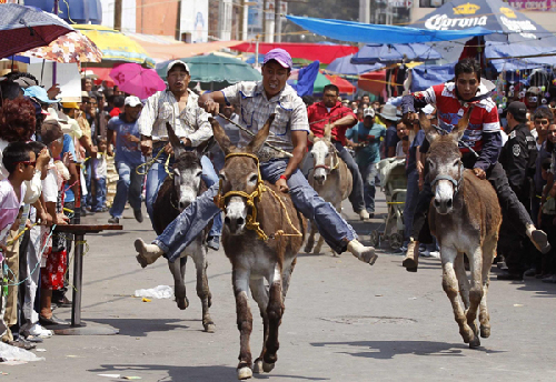 Donkey festival celebrated in Mexico