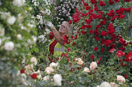 The Chelsea Flower Show 2011 in London