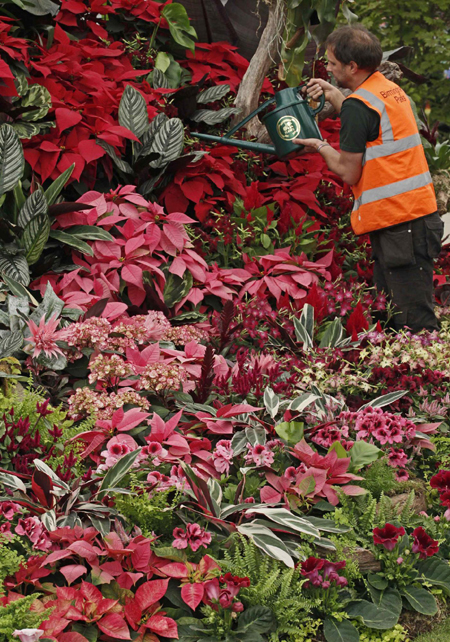 The Chelsea Flower Show 2011 in London