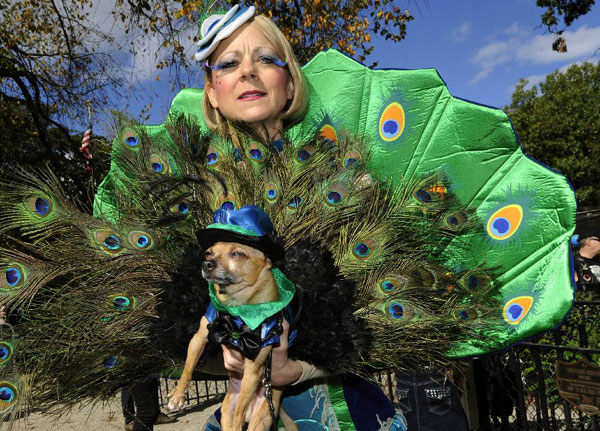 Halloween Dog Parade