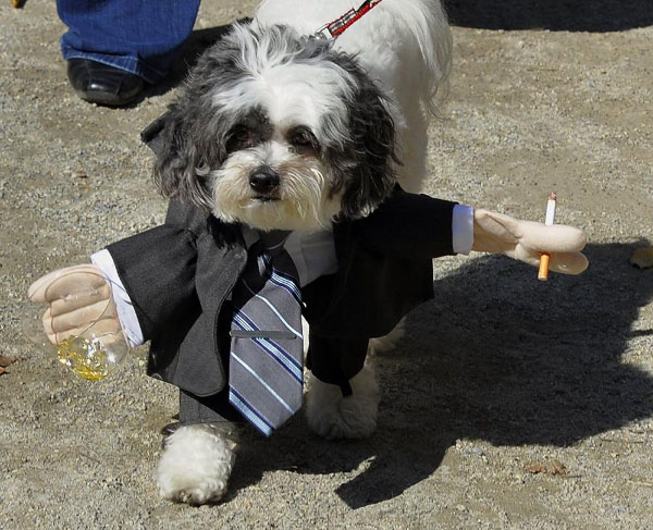 Halloween Dog Parade