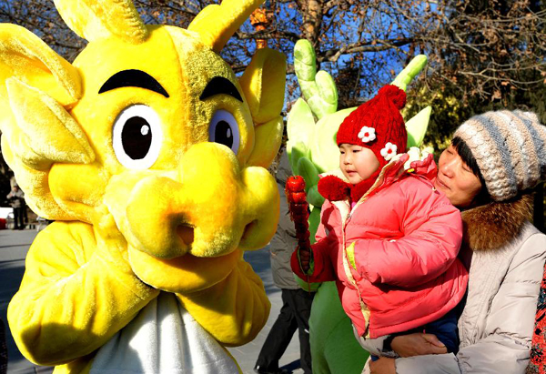 200,000 visit Beijing parks on Jan 23