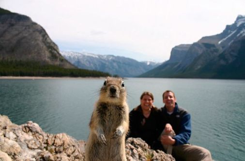 照片炸彈 photobomb