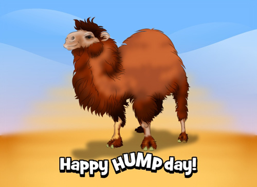 駝峰日 hump day